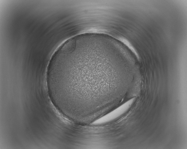 X0000070170972200606162051