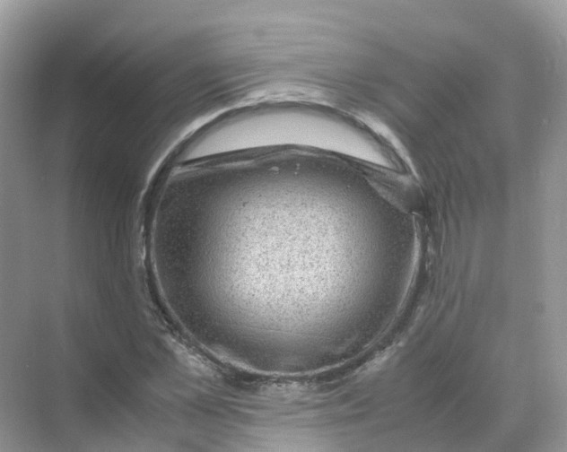 X0000070170973200606162051