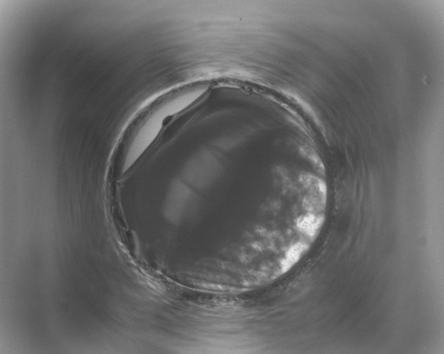 X0000070170975200606162051