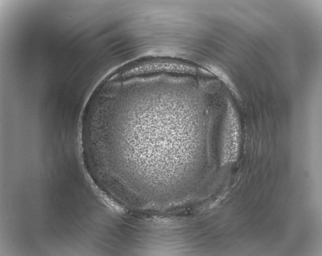 X0000070170976200606162051