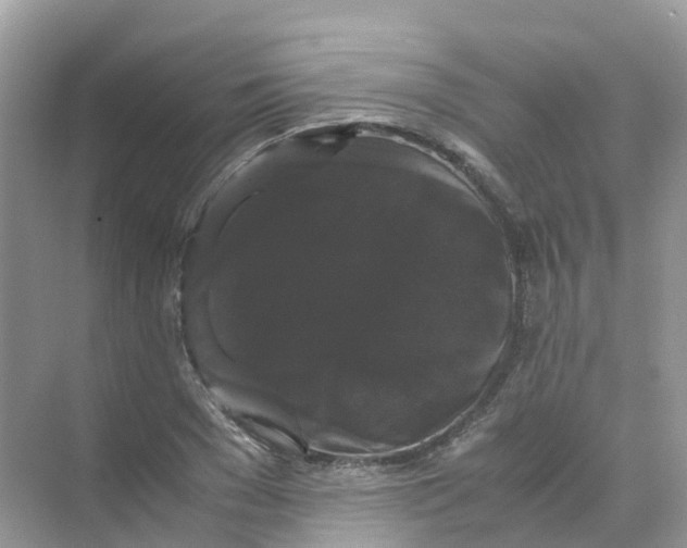 X0000070170977200606162051