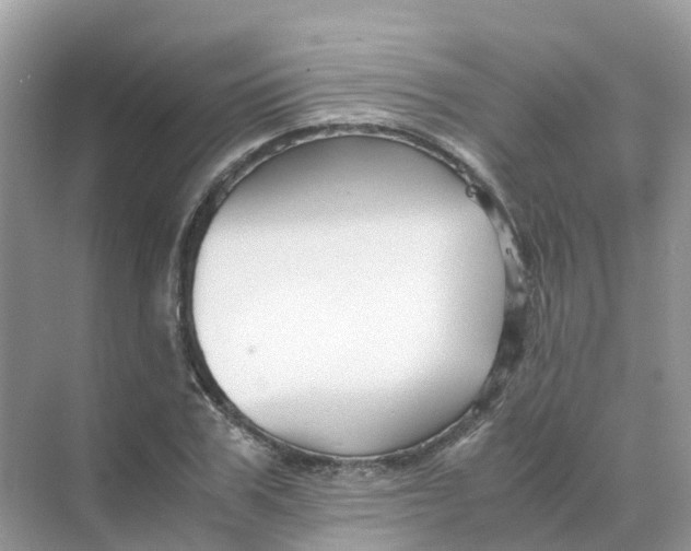 X0000070170979200606162051