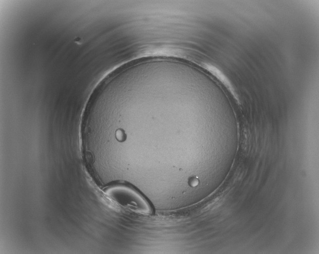 X0000070170980200606162051