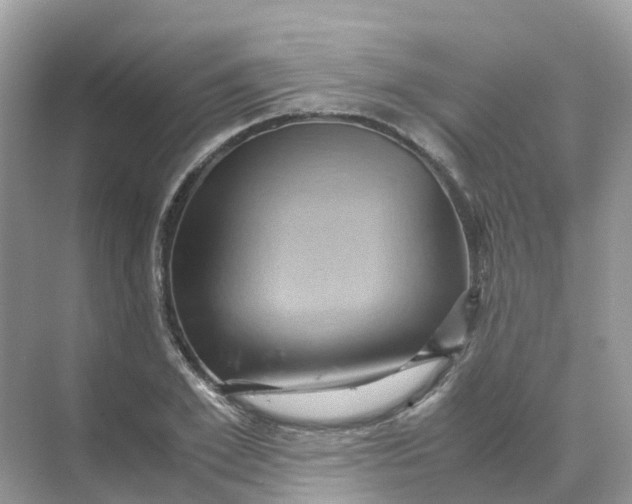 X0000070170981200606162051