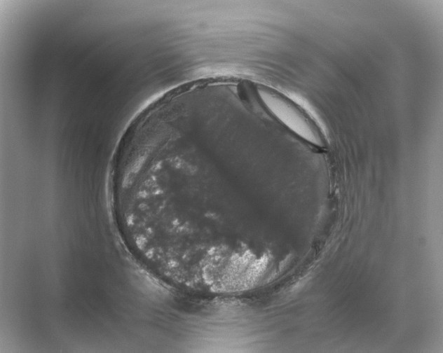 X0000070170983200606162051