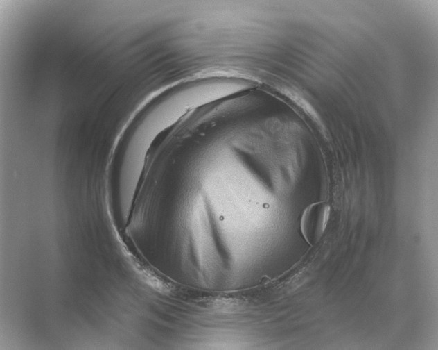 X0000070170984200606162051