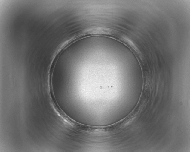 X0000070170986200606162051