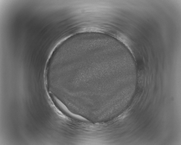 X0000070170987200606162051