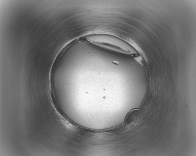 X0000070170988200606162051