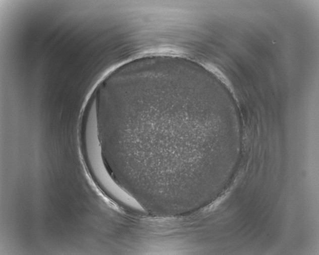 X0000070170989200606162051