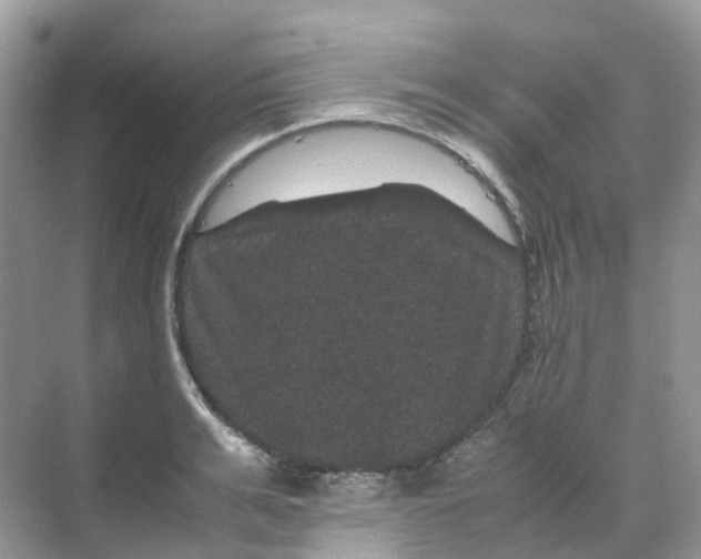 X0000070170991200606162051