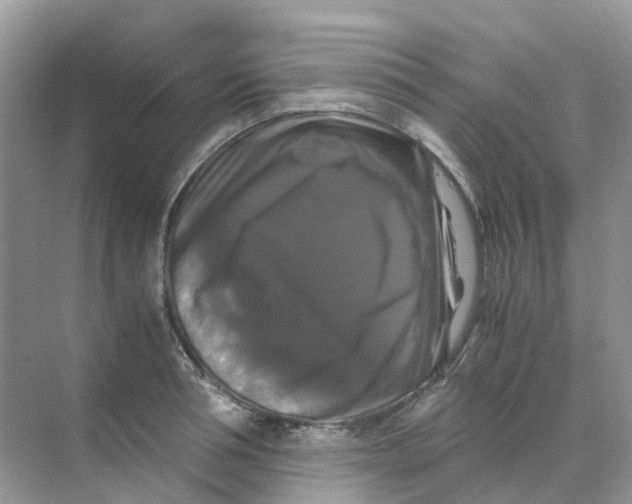 X0000070170994200606162051