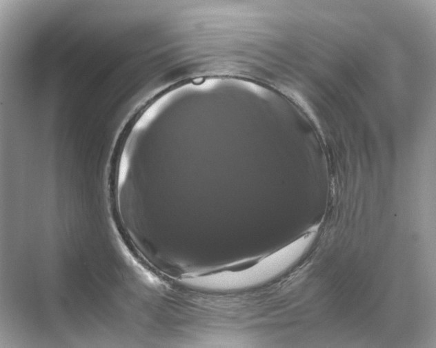 X0000070170995200606162051