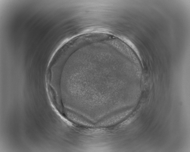 X0000070170997200606162051