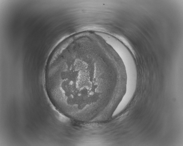 X0000070170999200606162051