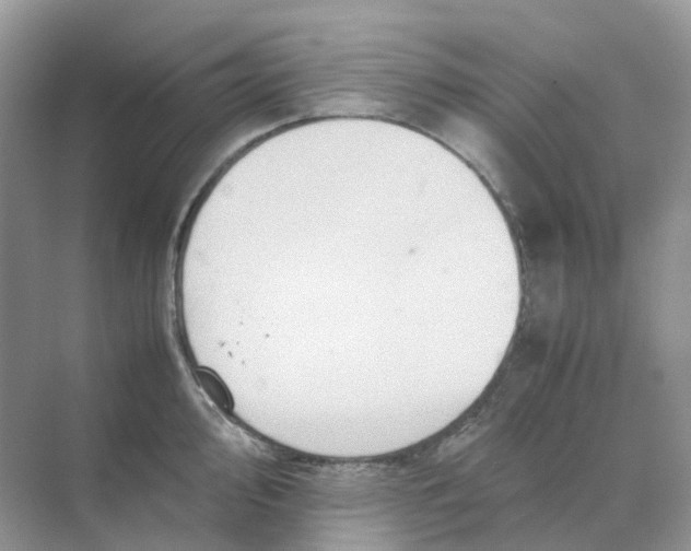 X0000070171000200606162051