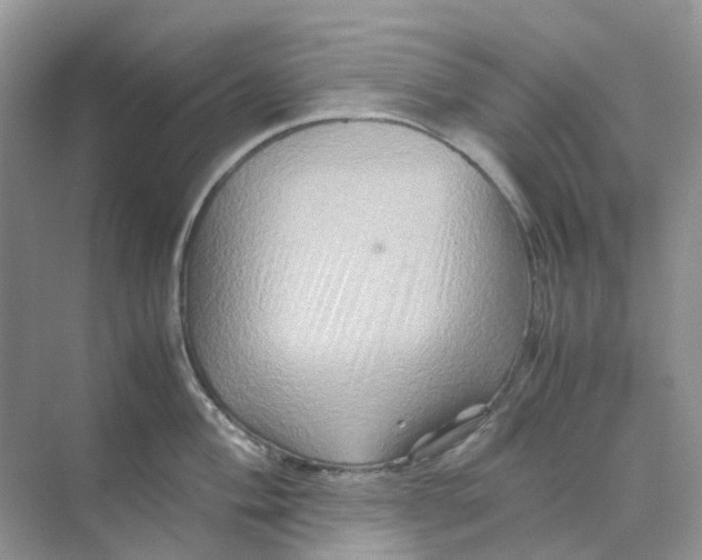 X0000070171004200606162051