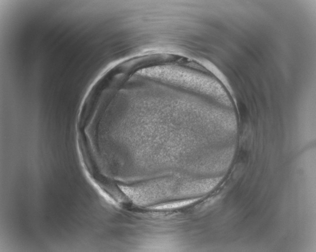 X0000070171005200606162051