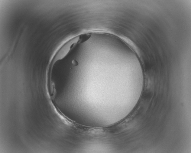 X0000070171006200606162051