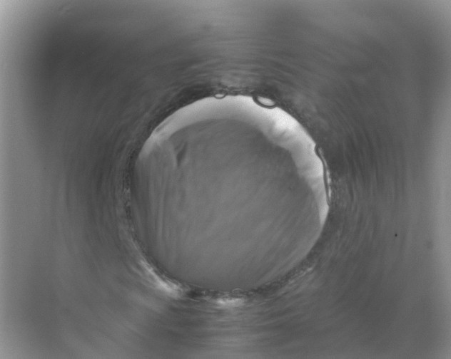 X0000070171009200606162050