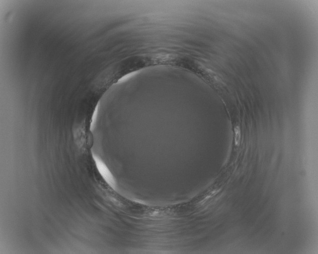 X0000070171011200606162050