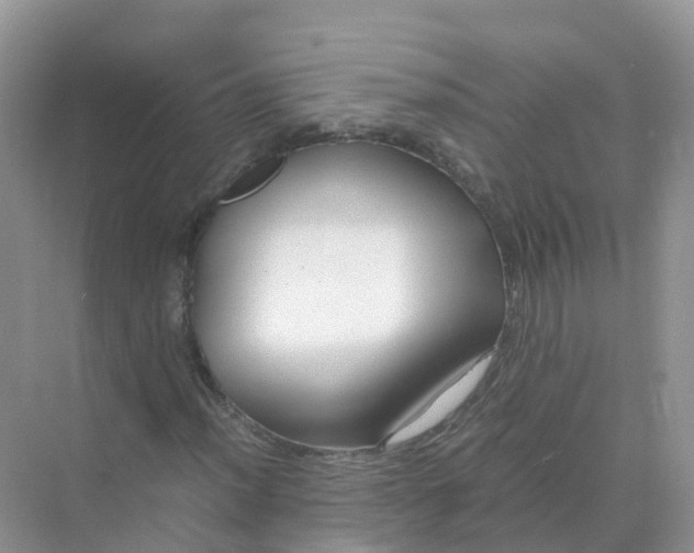 X0000070171012200606162050