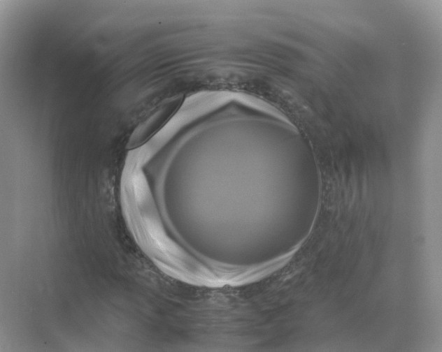 X0000070171013200606162050