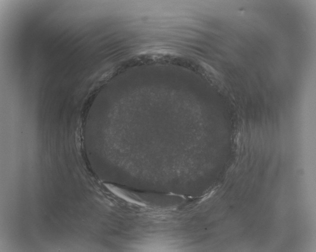 X0000070171014200606162050