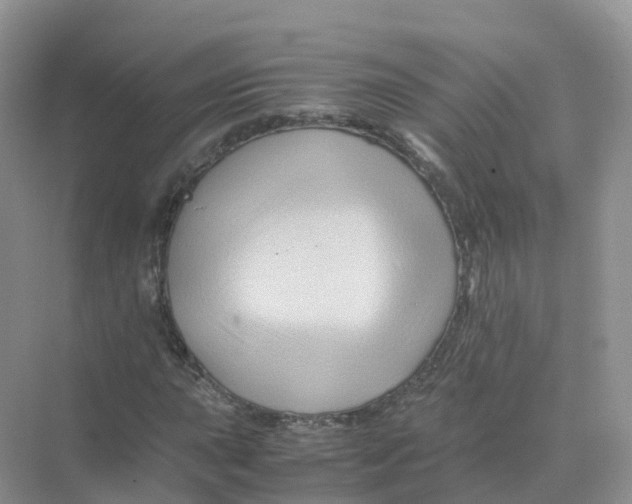 X0000070171015200606162050