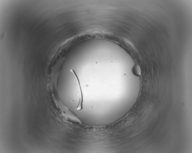 X0000070171016200606162050