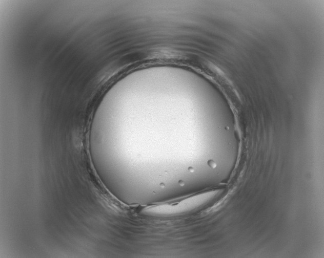 X0000070171017200606162050