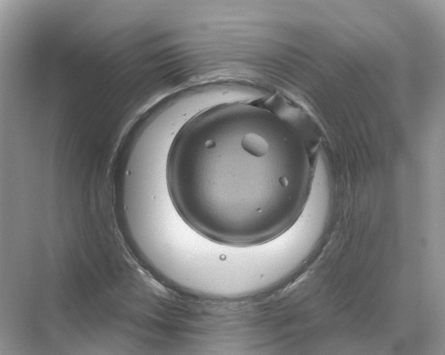 X0000070171018200606162050