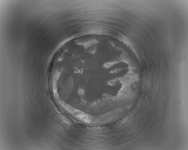 X0000070171019200606162050