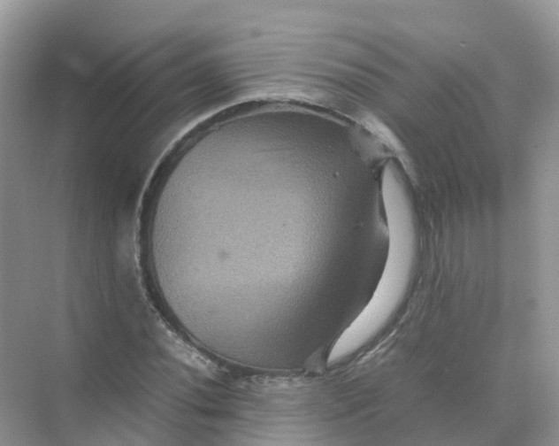 X0000070171020200606162050