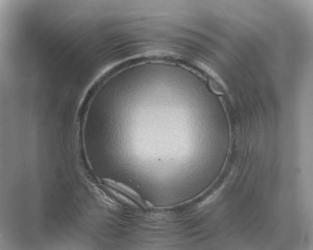 X0000070171021200606162050