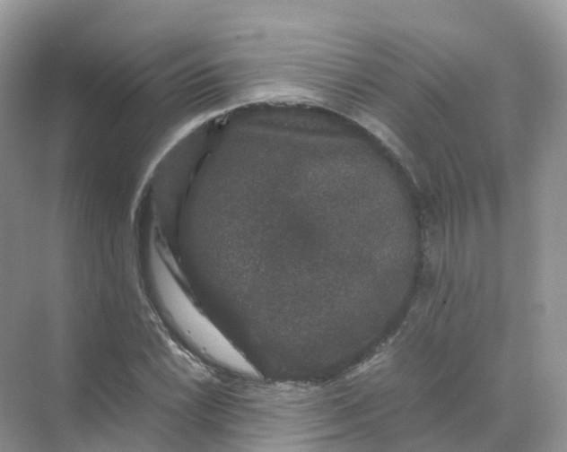 X0000070171022200606162050