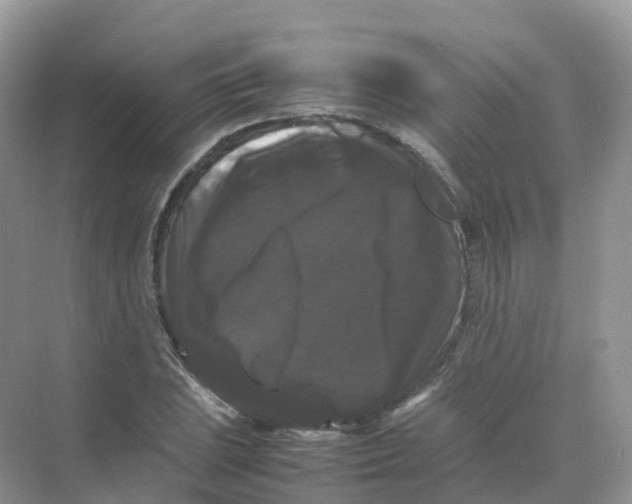 X0000070171023200606162050