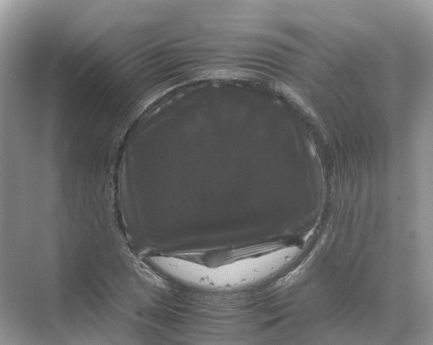 X0000070171025200606162050