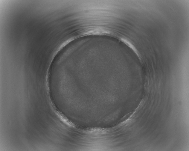 X0000070171026200606162050