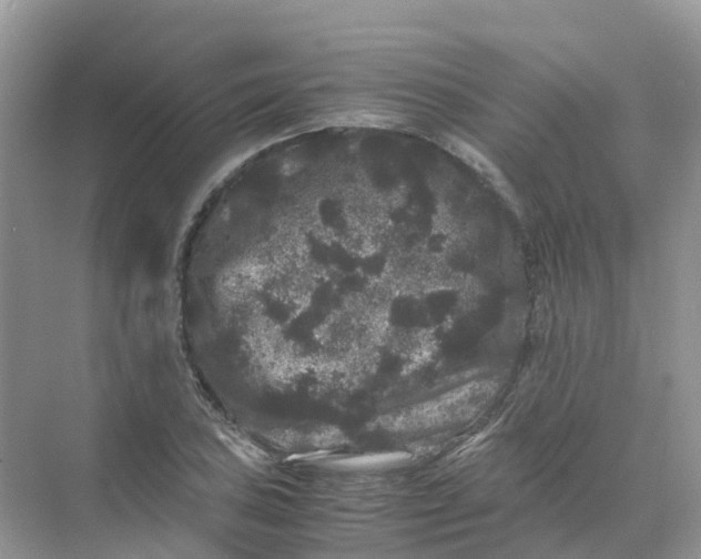 X0000070171027200606162050