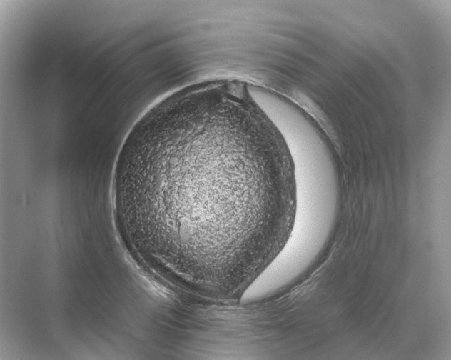 X0000070171028200606162050