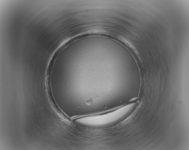 X0000070171029200606162050