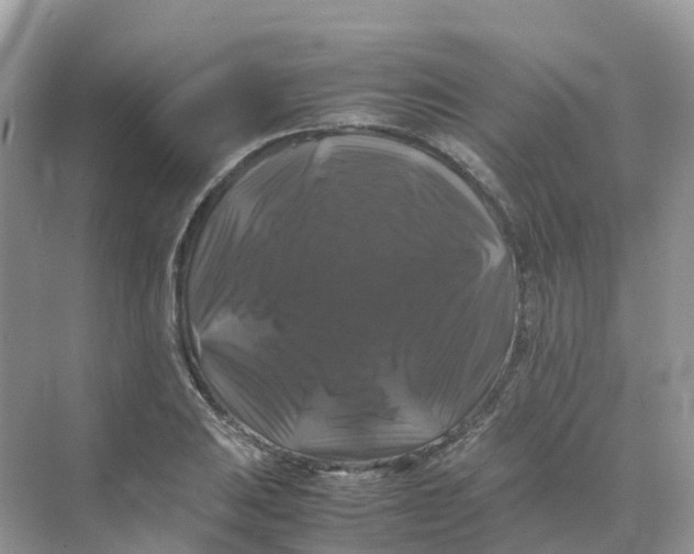 X0000070171031200606162050