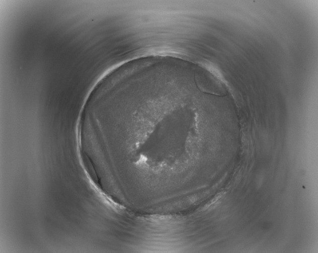 X0000070171032200606162050