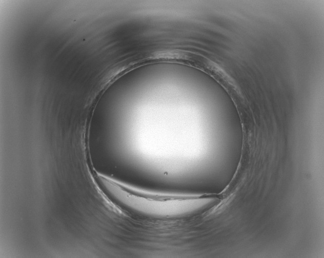 X0000070171033200606162050