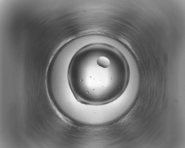 X0000070171034200606162050