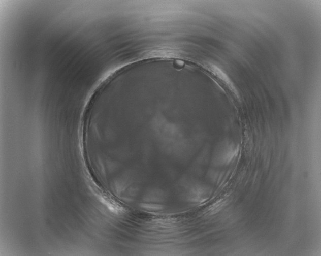 X0000070171035200606162051