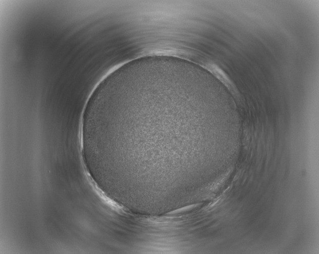 X0000070171036200606162051