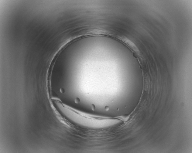 X0000070171039200606162051