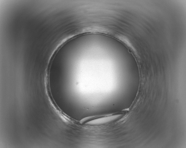 X0000070171040200606162051